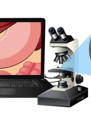 Digital Tools Are Revolutionizing Organ Transplant Systems