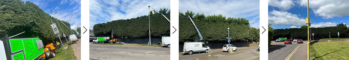 before after 5.jpg