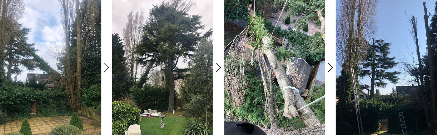 before after 1.jpg