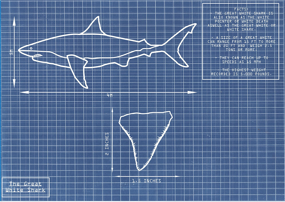 great white blue print.jpg