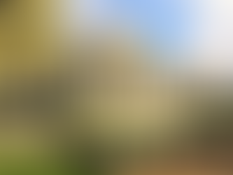 恆譽金融 | 美聯儲發布經濟狀況「褐皮書」加拿大12月失業率升至6.8% 歐元區11月工業產出環比增長0.7% 日本2025年企業物價指數上升3.2%