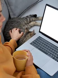 Young hispanic latin teen girl student relax sit on sofa with cat holding laptop looking a