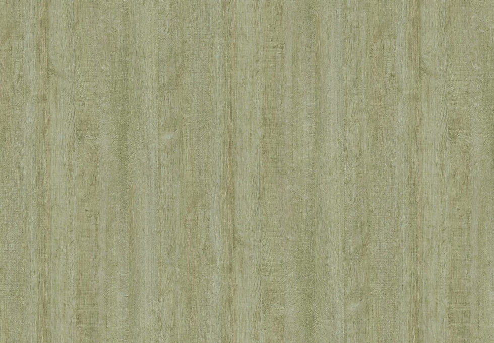 3098-1