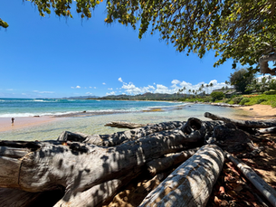 Clear turquoise waters of a Kauai beach with white sand and scattered rocks, the shoreline stretching peacefully in front of where we stayed.