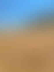 Collage of beaches and small towns in Paraguaná, shared by a late friend and kept as treasured memories.