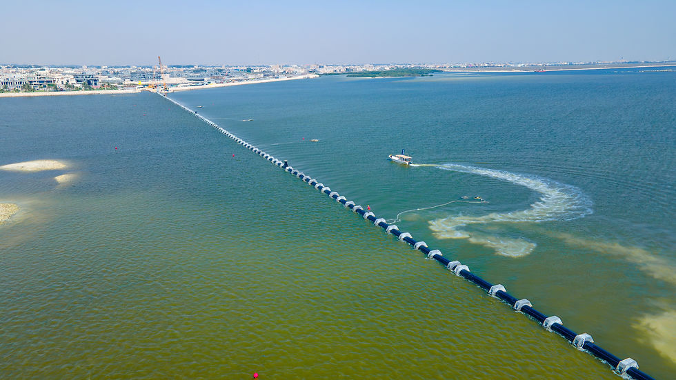 DJI_0050-Enhanced-NR.jpg