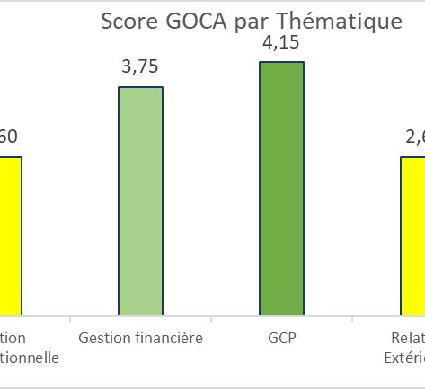 Selon ACTED, LIDE-N est une organisation bien développée