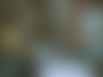 LIDE-N accueille l'Ambassadeur de France à Jean Rabel