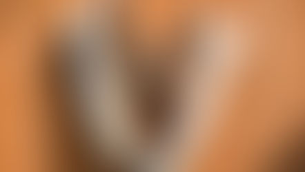 Versão em couro do Nike SB Stefan Janoski chega as prateleiras gringas.