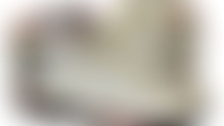 Descubra como garantir um par de Air Jordan 7 usado e autografado por Michael Jordan.