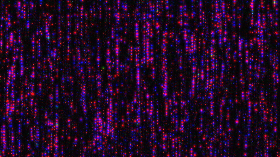 STUDIOAAA-STATIC (15).jpg