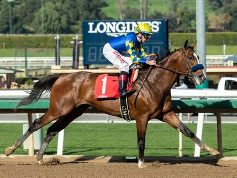 Authentic (USA) fue demasiado para sus rivales a pesar de mañosear en el último tramo del Sham Stake