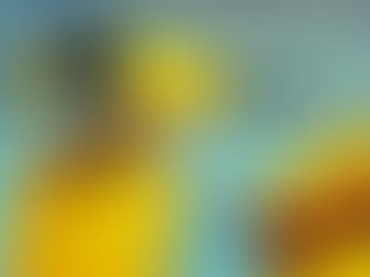 TEN TIPS TO MAXIMIZE YOUR STAY