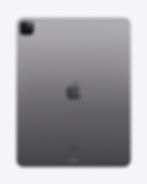 iPad Pro
