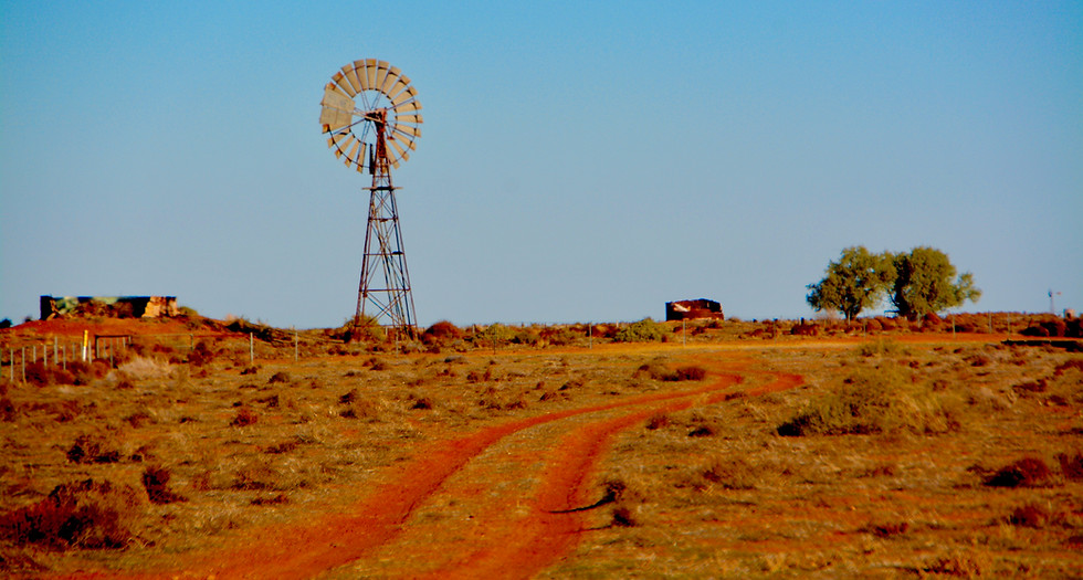 _DSC1205.jpeg