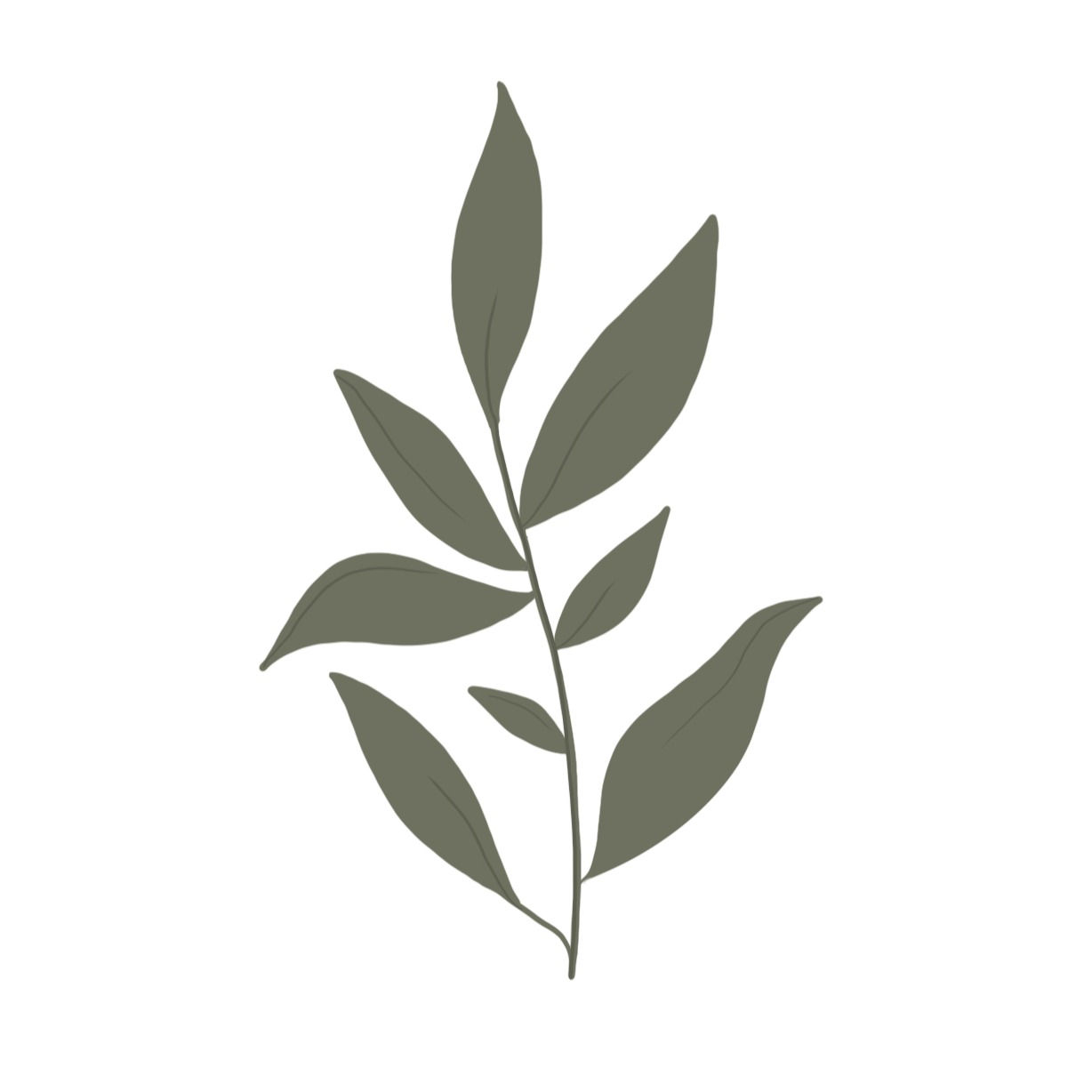 Leaf Stem Cookie Cutter