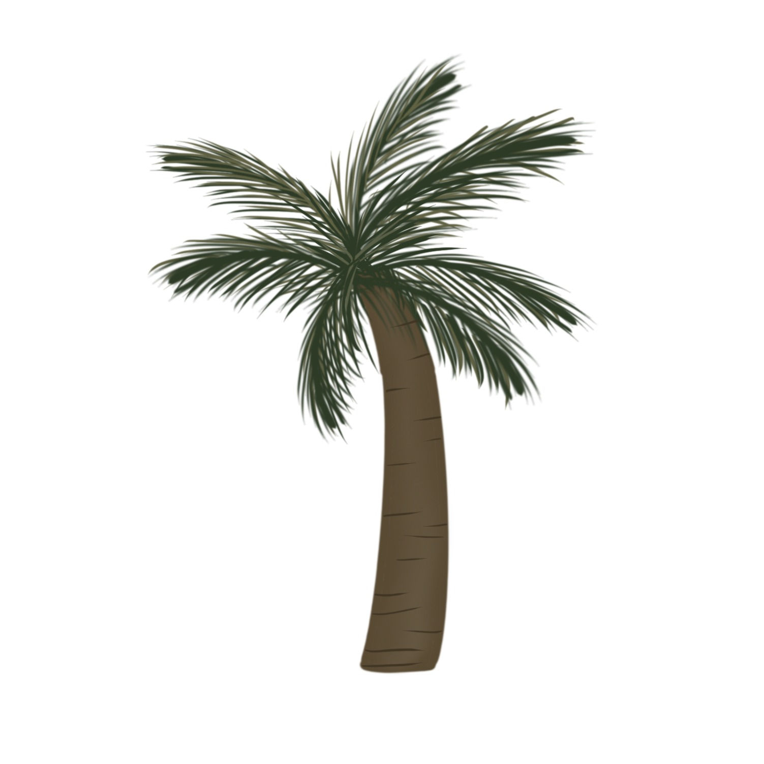 Palm Tree Cookie Cutter