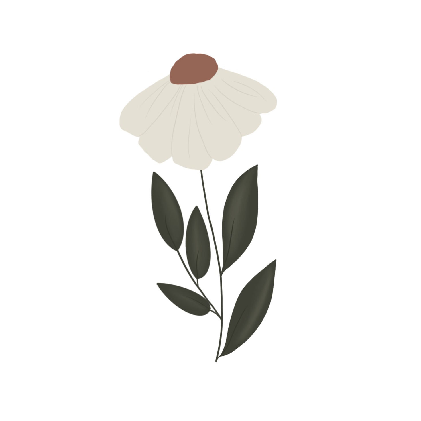 Daisy Stem No.2 Cookie Cutter