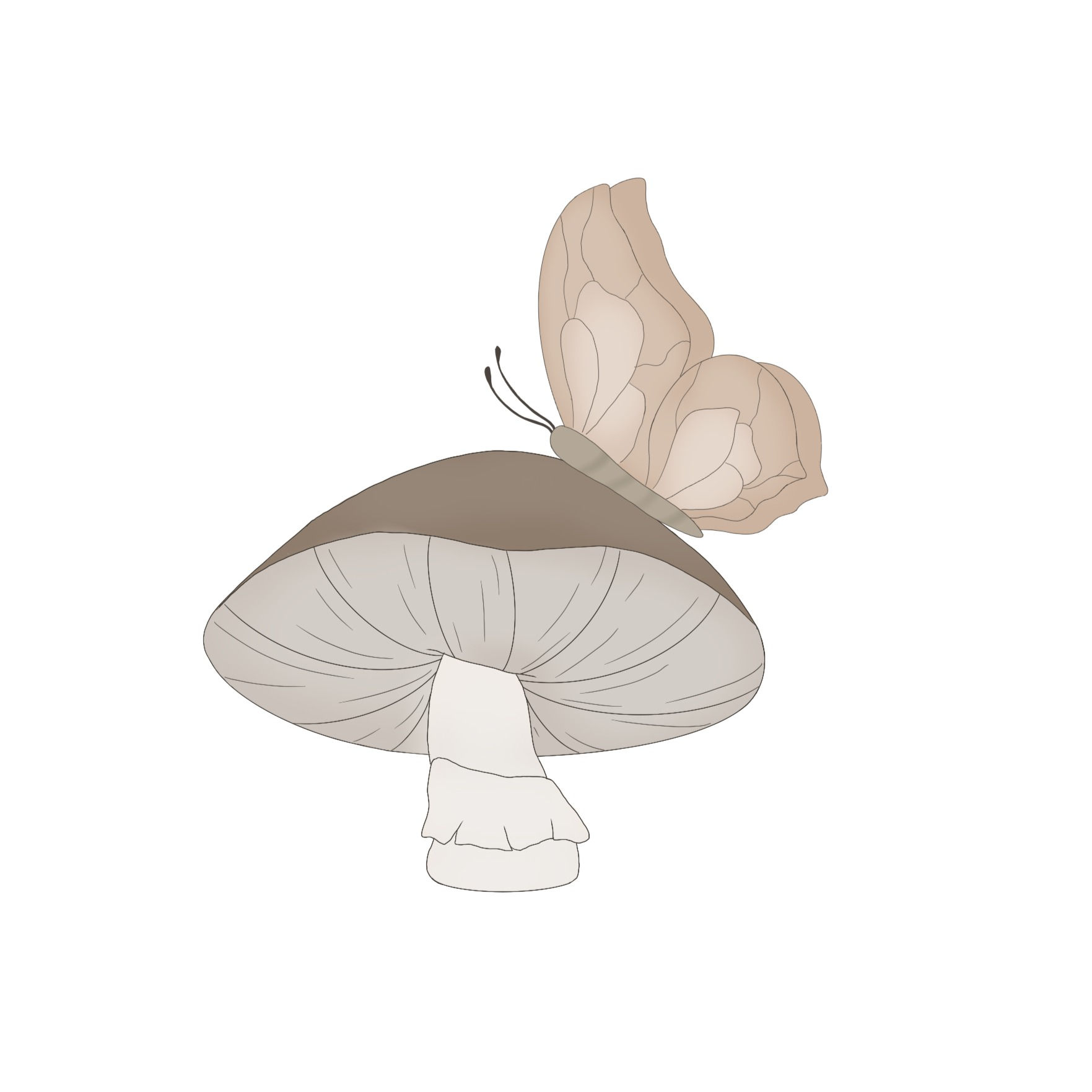 Butterfly Mushroom Cookie Cutter