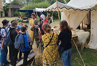 Arville 10.jpg