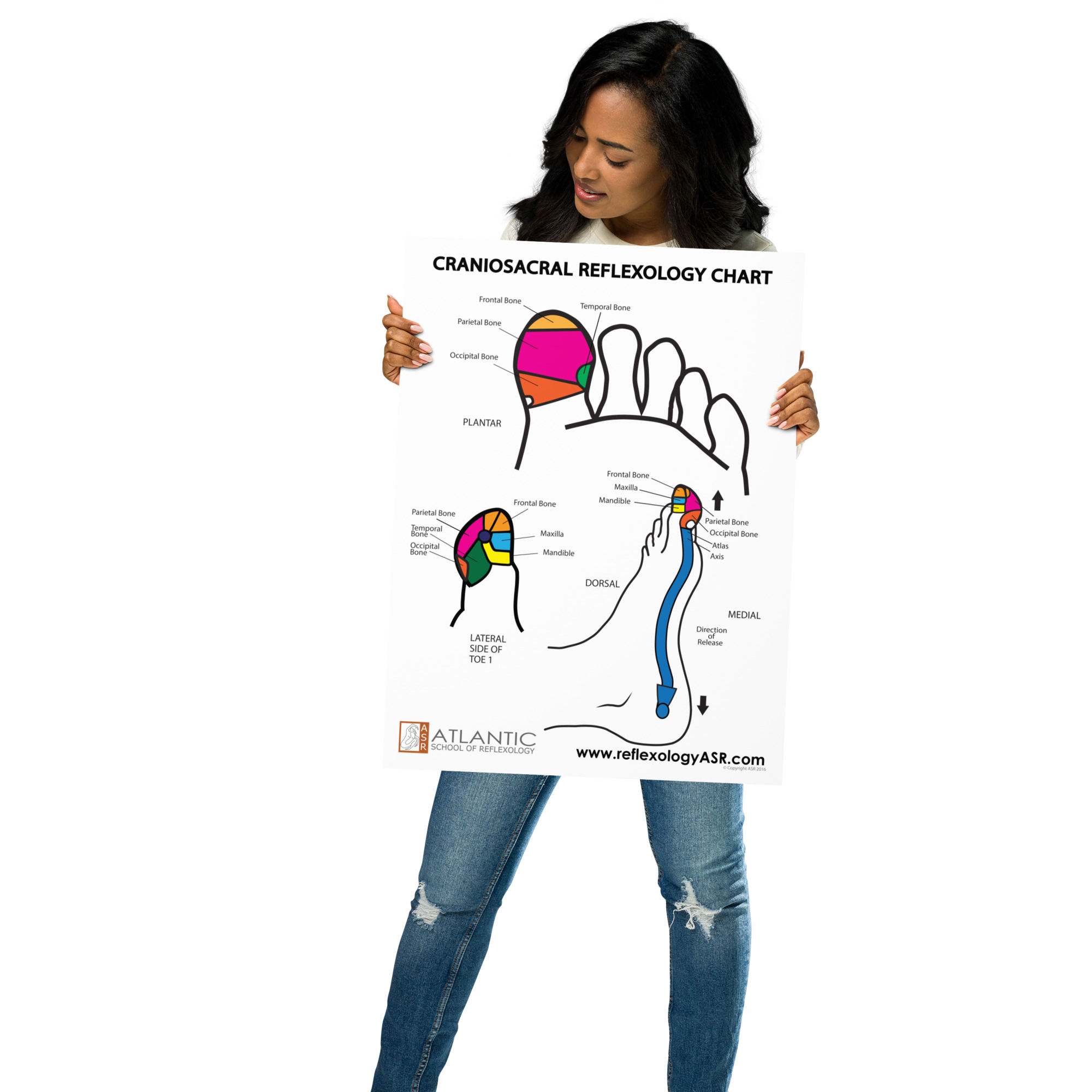 foot reflexology poster