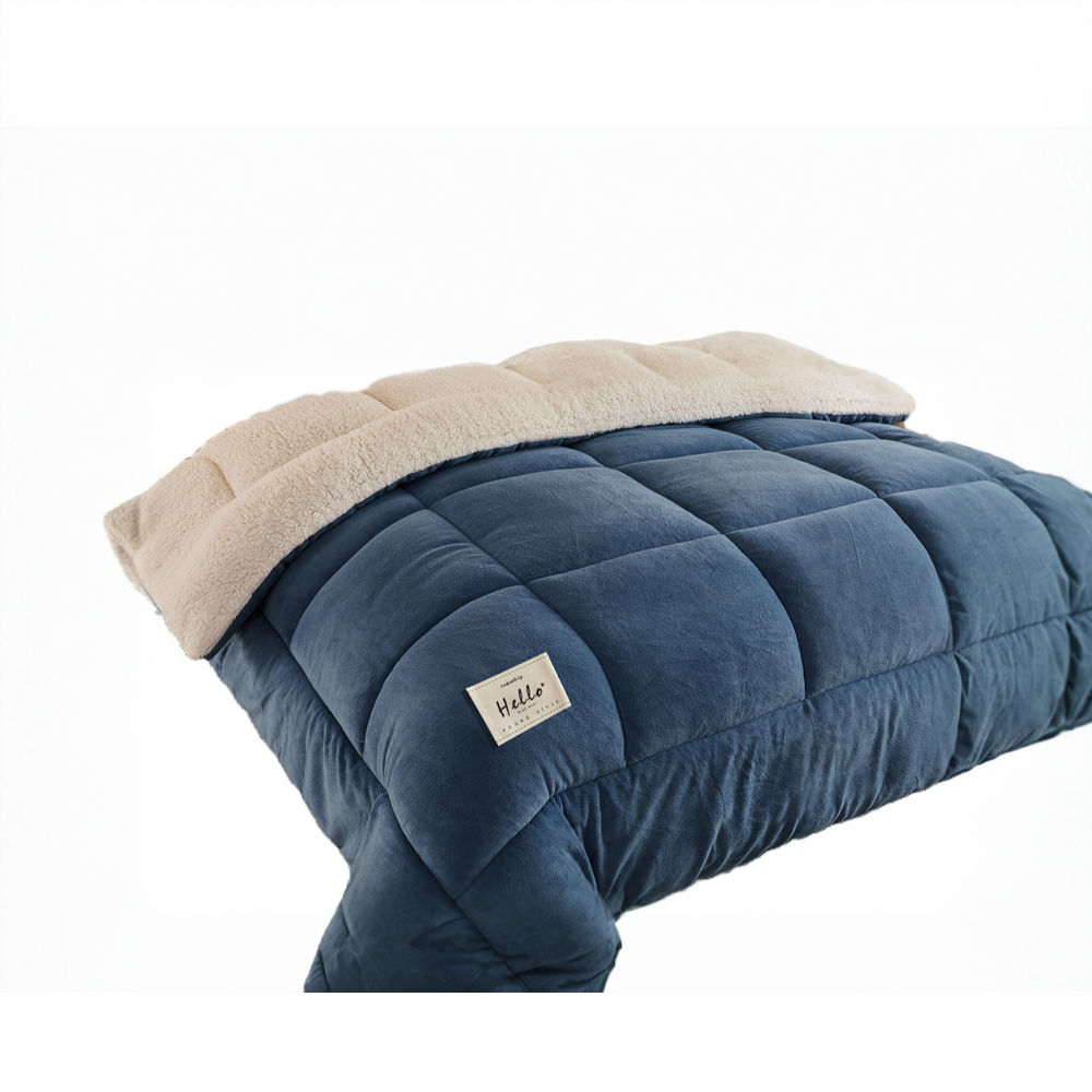 New Thick Milk Fleece Warm Blanket for Winter Artificial Lamb Cashmere Duvet Com