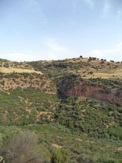 DSC00779.JPG