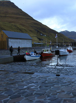 IMG_6416 (2)