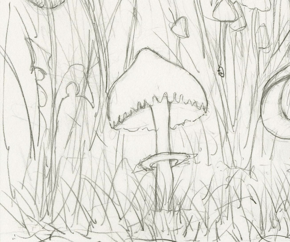 Thumbnail: "In the Weeds" Original Drawing by Samantha Long