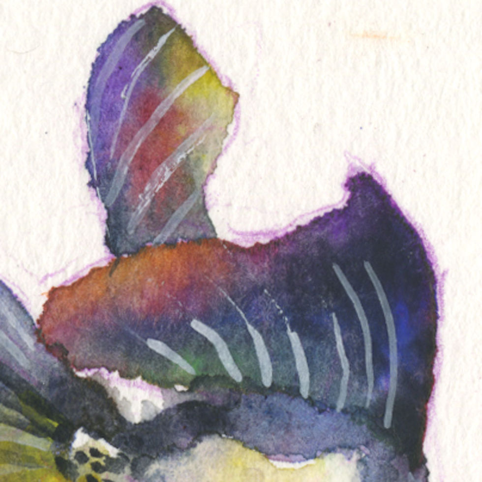 Thumbnail: Whimsical Black Goldfish Watercolor Painting by Samantha Long