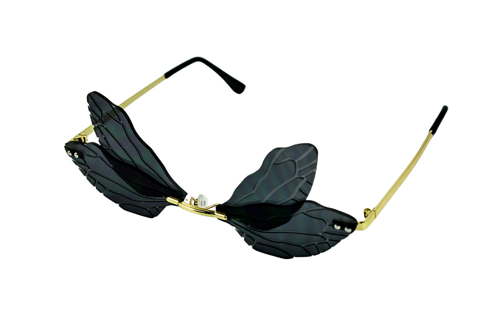 Thumbnail: FairyVision Glasses