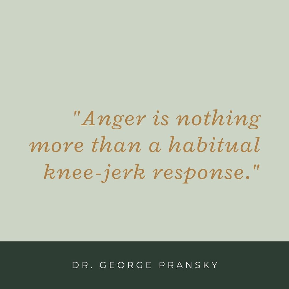Thumbnail: What Even Tempered People Know that Angry People Don't George Pransky Audio Recording Quote