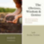 The Obvious, Wisdom & Genius George Pransky Audio Recording