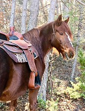 31408068_1920564851349342_17150916471577