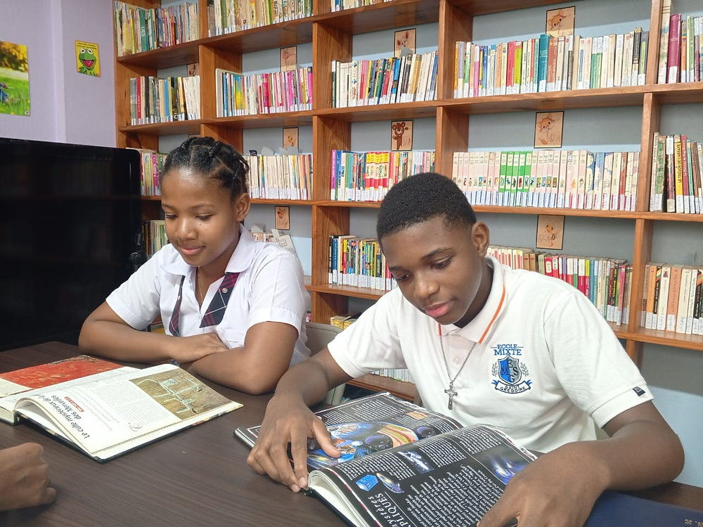 La bibliothèque de l'Ecole Mixte St-Grégoire