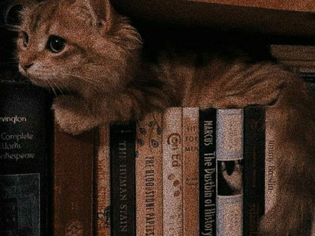 5 Star Reads of 2022