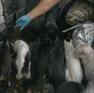 Знімок екрана 2026-01-23 о 14.18.48.png