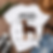 Thumbnail: Anatomy of a Doberman Tee – Unisex