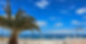 20240610_141315_edited_edited_edited.jpg