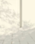 Structured outdoor scene with calm, geometric shadows cast across a pale stone ground. A c