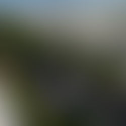 COFFS JETTY STRIP STRUCTURE PLAN