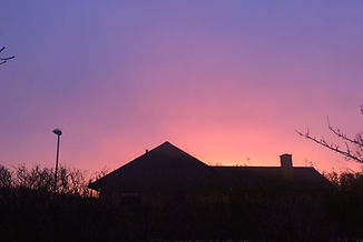 IMG_1080.jpeg