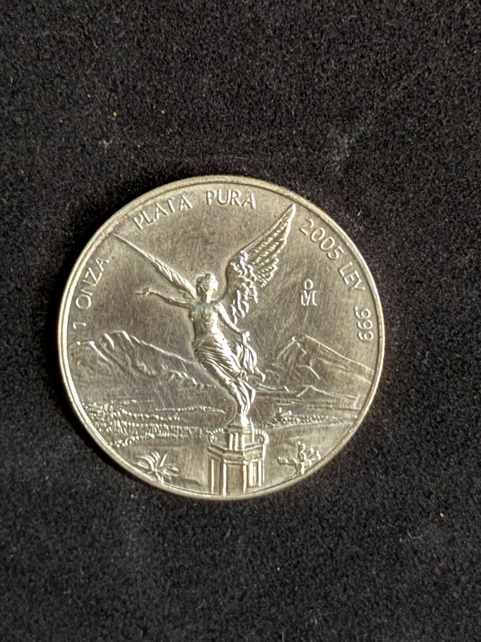 Miniatura: Onza de Plata 2005