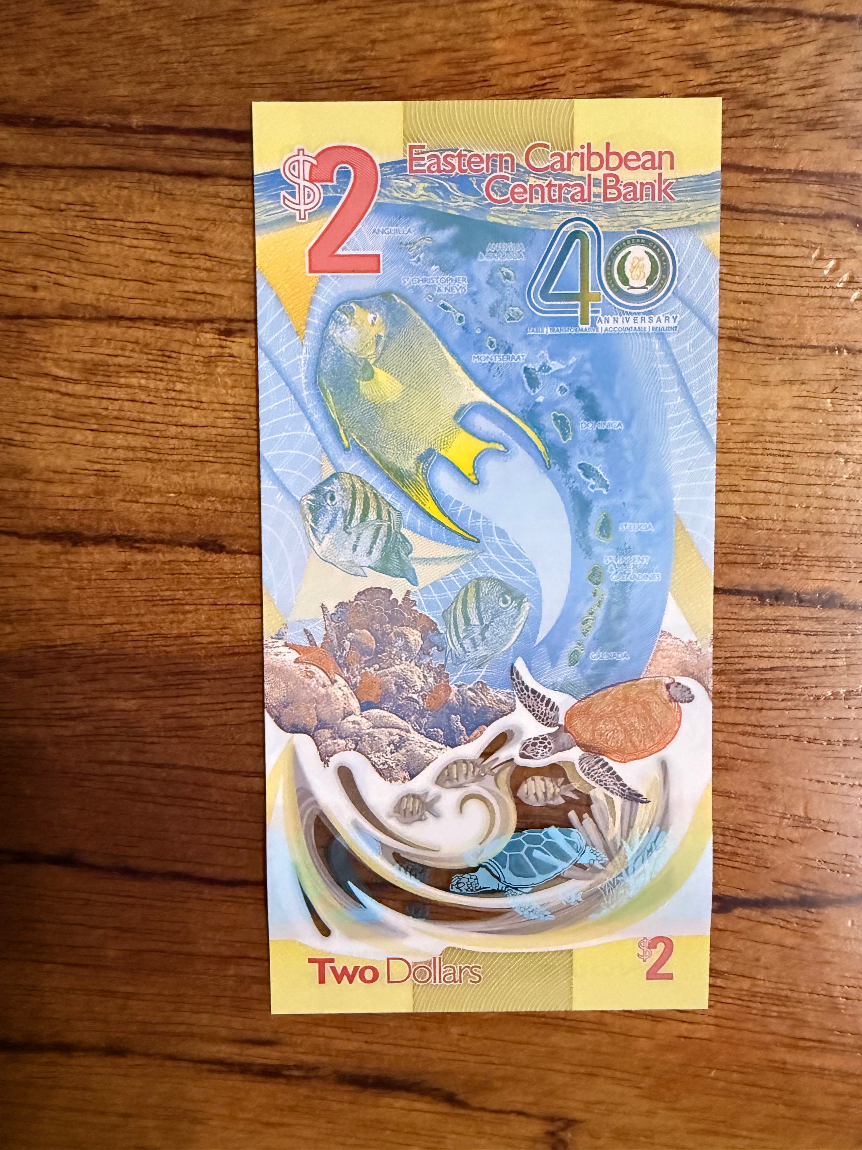 Catalogado como El billete más hermoso del 2024