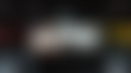 David Lee Ferrari Collection