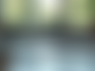 Optimizing Your Workforce with IT Talent Management: Managing IT Professionals Effectively