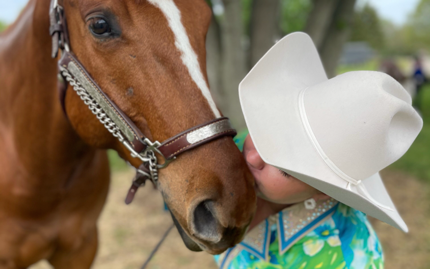 For the love of horses