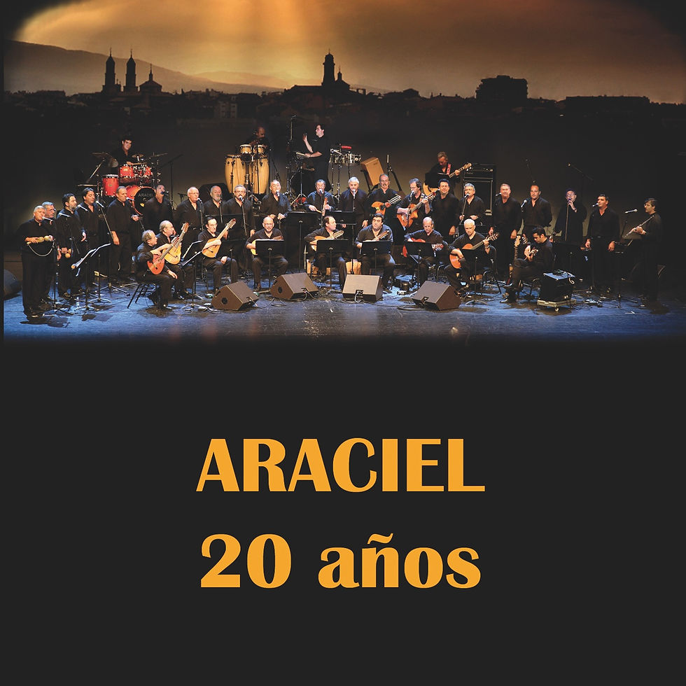 Grupo Araciel