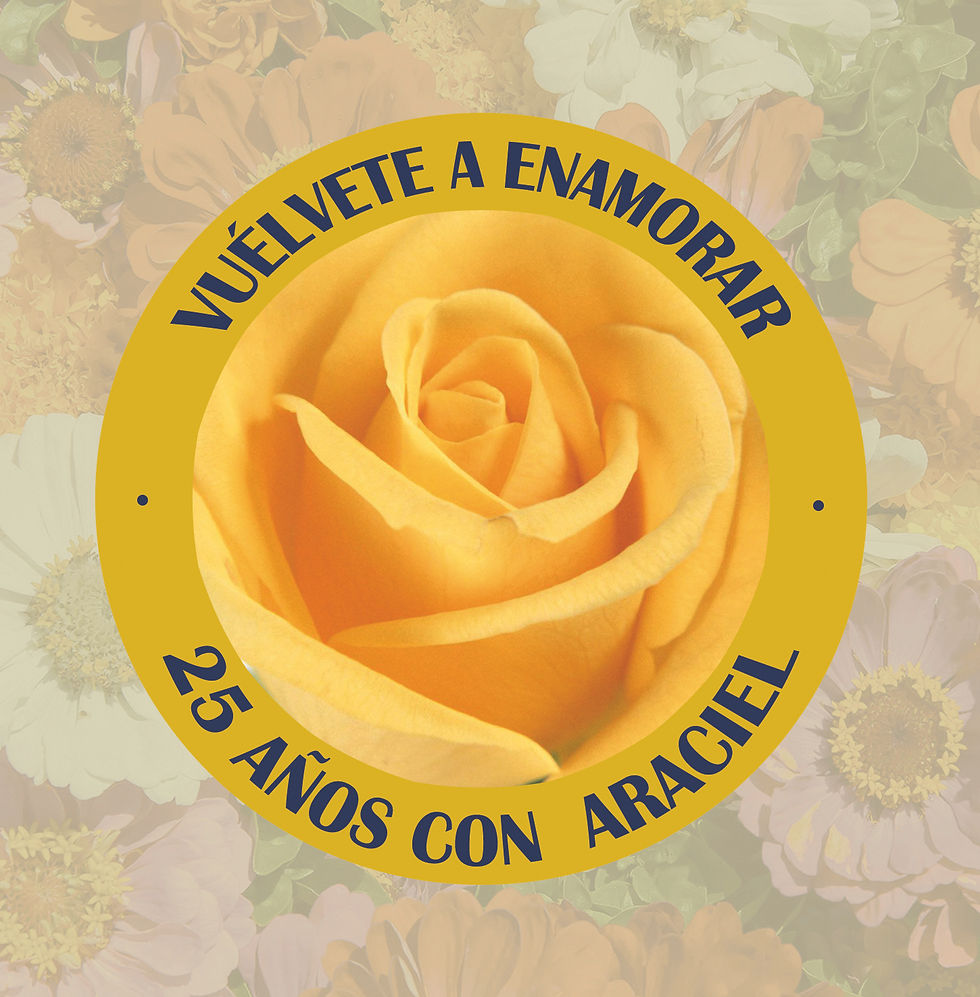 Grupo Araciel