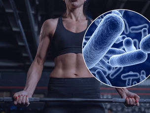 Eixo intestino-músculo: uma forte conexão